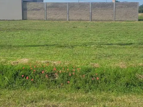 Terreno en Venta en Esperanza, Las Colonias