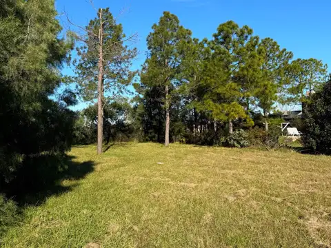 Terreno en Venta en Oliveros, Iriondo