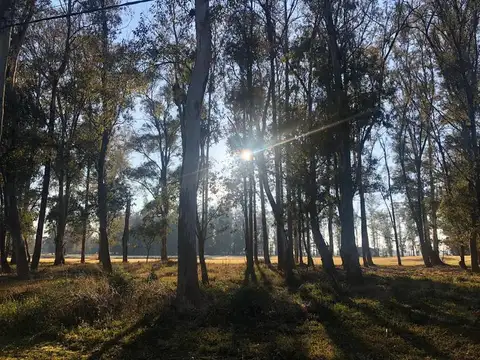 Terreno en Venta en Oliveros, Iriondo