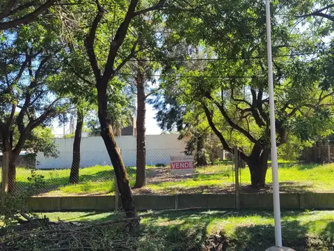 Terreno en Venta en Ricardone, San Lorenzo
