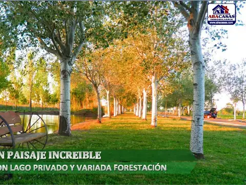 Terreno en Venta en Centro, Rosario