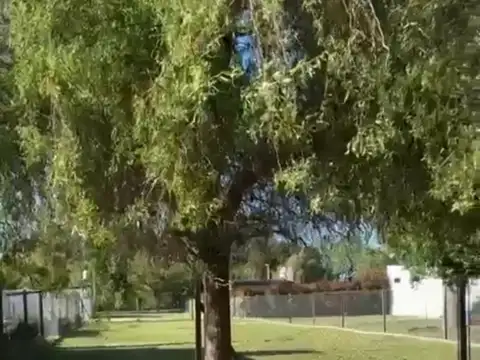 Terreno en Venta en Ibarlucea, Rosario