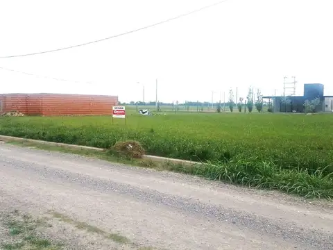 Terreno en Venta en Susana, Castellanos