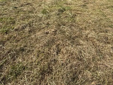 Terreno en Venta en Roldan, San Lorenzo