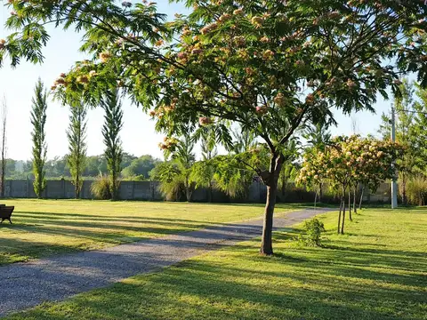 Terreno en Venta en Ibarlucea, Rosario
