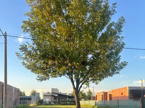 Terreno en Venta en Ibarlucea, Rosario