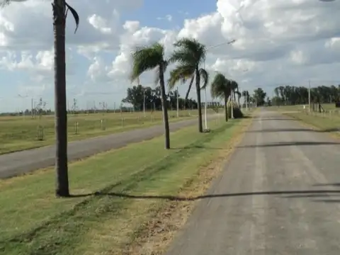 Terreno en Venta en Punta Chacra, Roldan