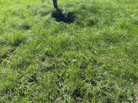 Terreno en Venta en Roldan, San Lorenzo