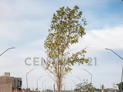 Terreno en Venta en Pueblo Esther, Rosario