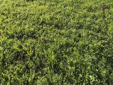 Terreno en Venta en Arroyo Seco, Rosario