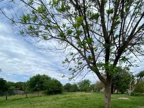 Terreno en Venta en Oliveros, Iriondo