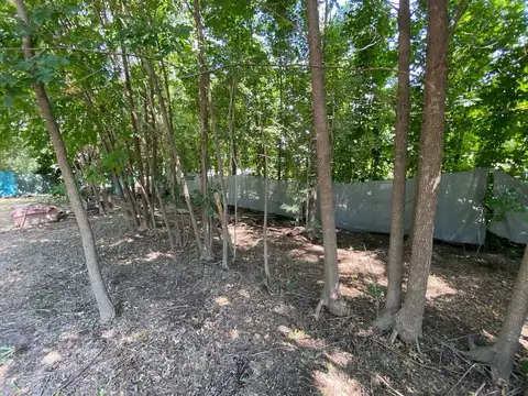 Terreno en Venta en Roldan, San Lorenzo