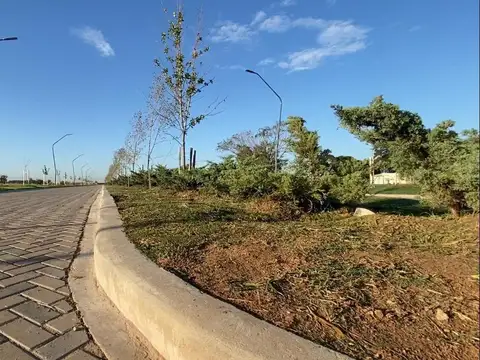 Terreno en Venta en Pueblo Esther, Rosario