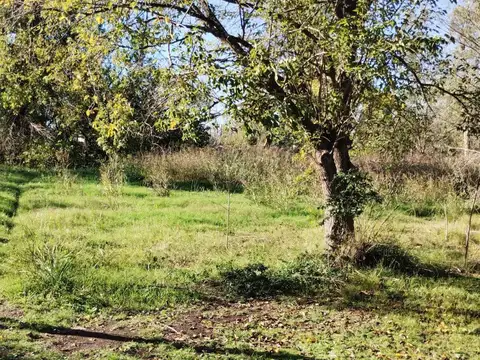 Terreno en Venta en Zavalla, Rosario