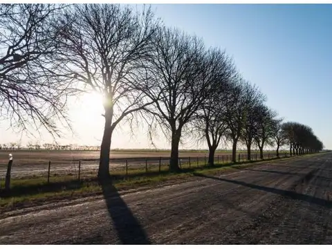 Terreno en Venta en Ibarlucea, Rosario