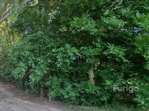 Terreno en Venta en La Catalina, Countries y Barrios Cerrados en Roldan