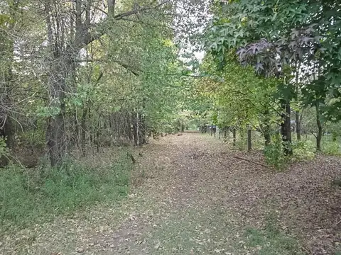 Terreno en Venta en Roldan, San Lorenzo