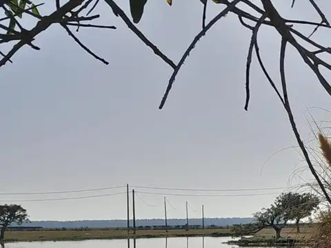 Terreno en Venta en Oliveros, Iriondo