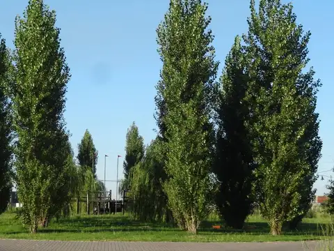 Terreno en Venta en Roldan, San Lorenzo