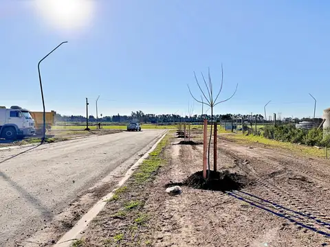 Terreno en Venta en General Lagos, Rosario