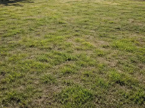 Terreno en Venta en El Bosque, Rafaela