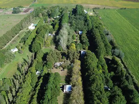 Terreno en Venta en Roldan, San Lorenzo