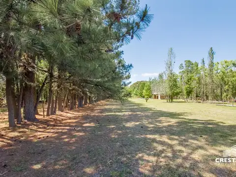 Terreno en Venta en Roldan, San Lorenzo