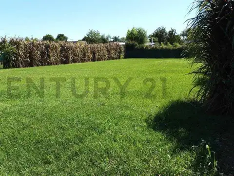 Terreno en Venta en Susana, Castellanos