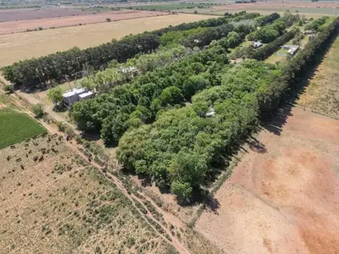 Terreno en Venta en Roldan, San Lorenzo
