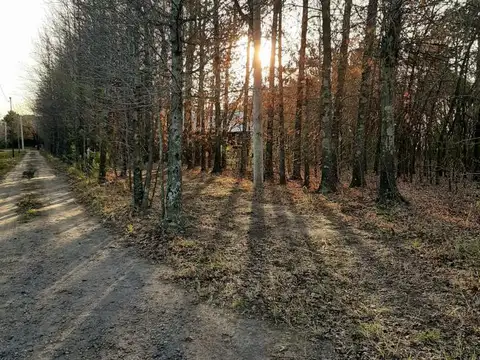 Terreno en Venta en Roldan, San Lorenzo