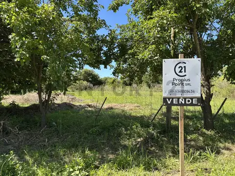 Terreno en Venta en Andino, Iriondo