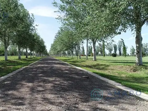 Terreno en Venta en Piñero, Rosario