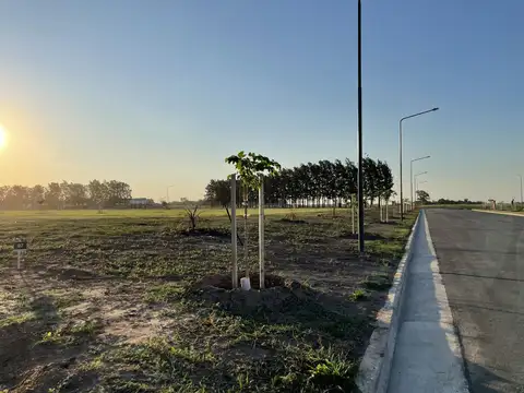Terreno en Venta en General Lagos, Rosario