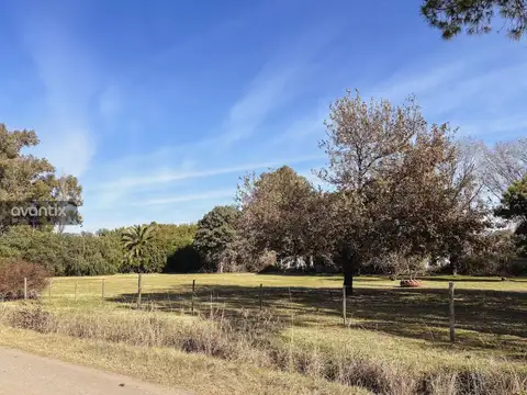 Terreno en Venta en Susana, Castellanos