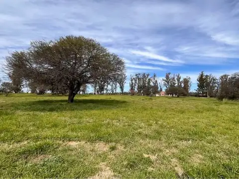 Terreno en Venta en Maciel, San Jerónimo
