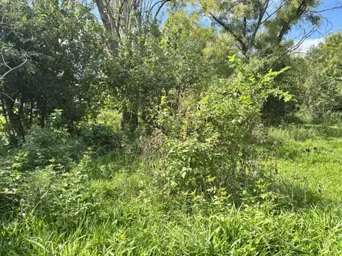 Terreno en Venta en Andino, Iriondo