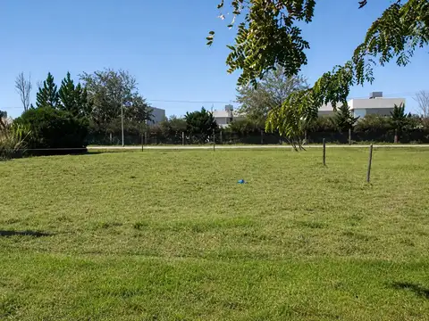Terreno en Venta en Roldan, San Lorenzo