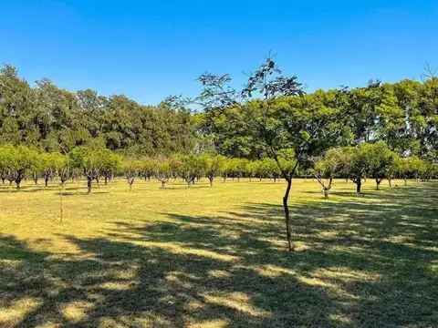 Terreno en Venta en Fighiera, Rosario