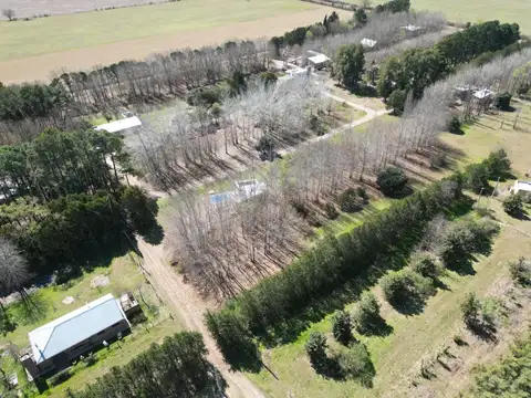 Terreno en Venta en Roldan, San Lorenzo