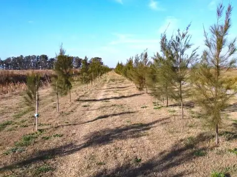 Terreno en Venta en Funes, Rosario
