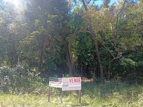 Terreno en Venta en Ibarlucea, Rosario