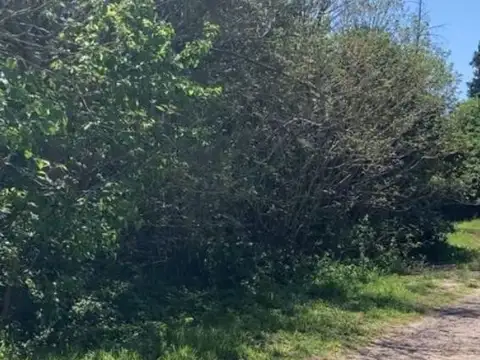 Terreno en Venta en Andino, Iriondo
