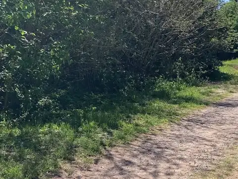 Terreno en Venta en Andino, Iriondo
