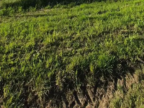 Terreno en Venta en Funes, Rosario