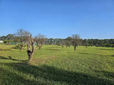 Terreno en Venta en Fighiera, Rosario