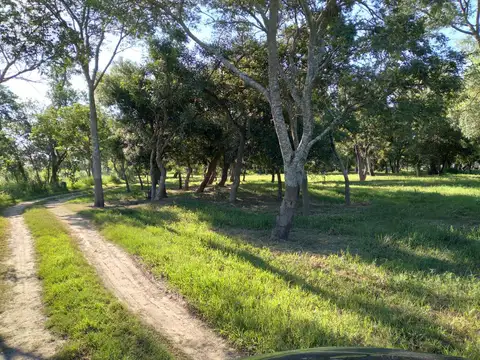 Terreno en Venta en Arroyo Leyes, La Capital
