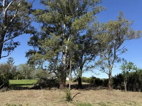 Terreno en Venta en Roldan, San Lorenzo