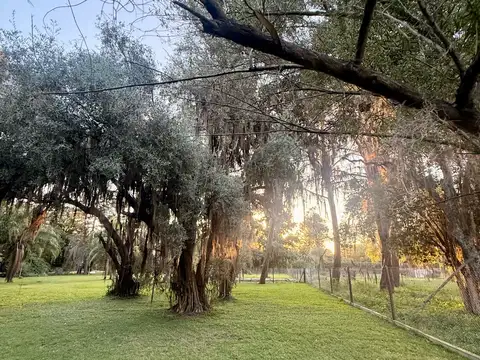 Terreno en Venta en Funes, Rosario