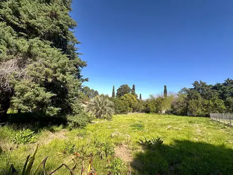 Terreno en Venta en Roldan, San Lorenzo