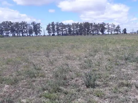 Terreno en Venta en Monje, San Jerónimo
